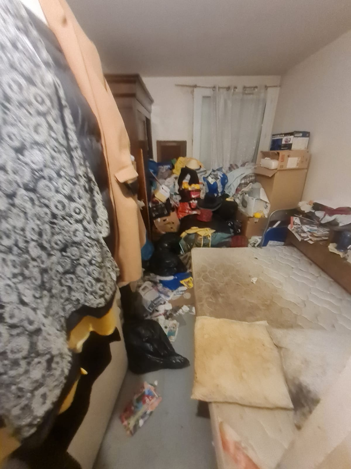 IMG 20241016 WA0058