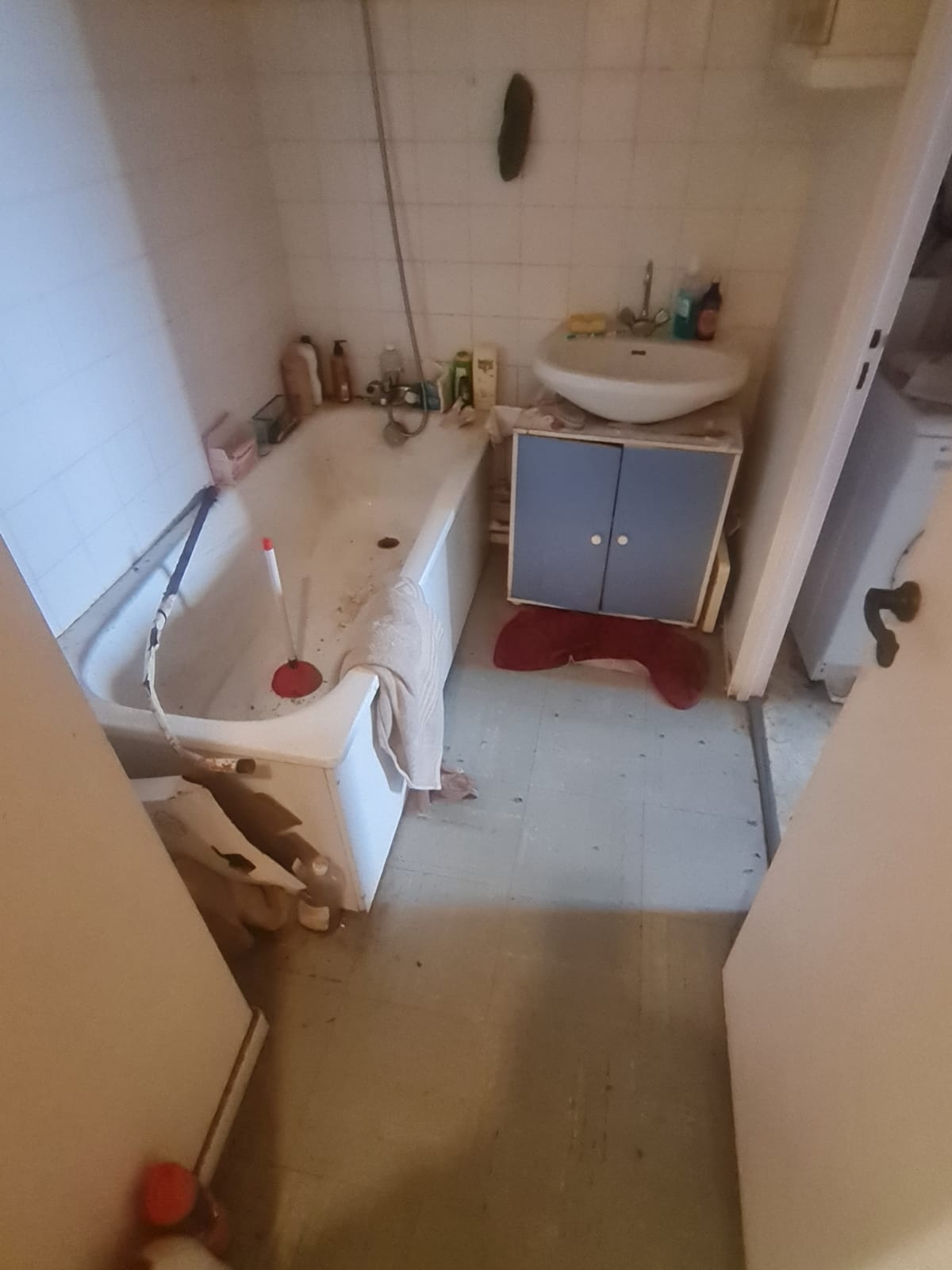Nettoyage post-mortem : Évitez les erreurs courantes lors de l’intervention IMG 20241016 WA0077