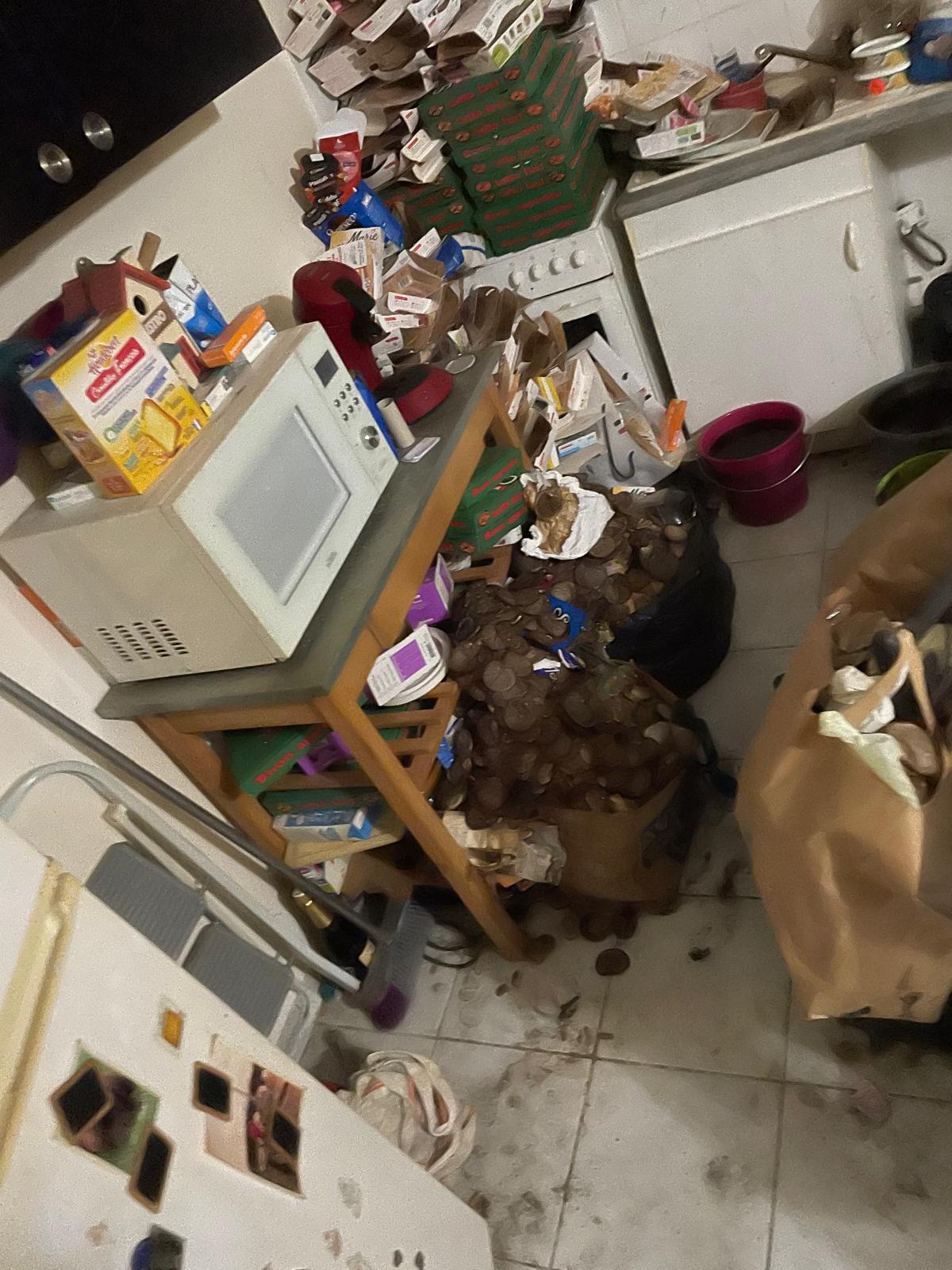 Comment prévenir les risques de moisissures après un nettoyage d'incendie IMG 20241126 WA0045