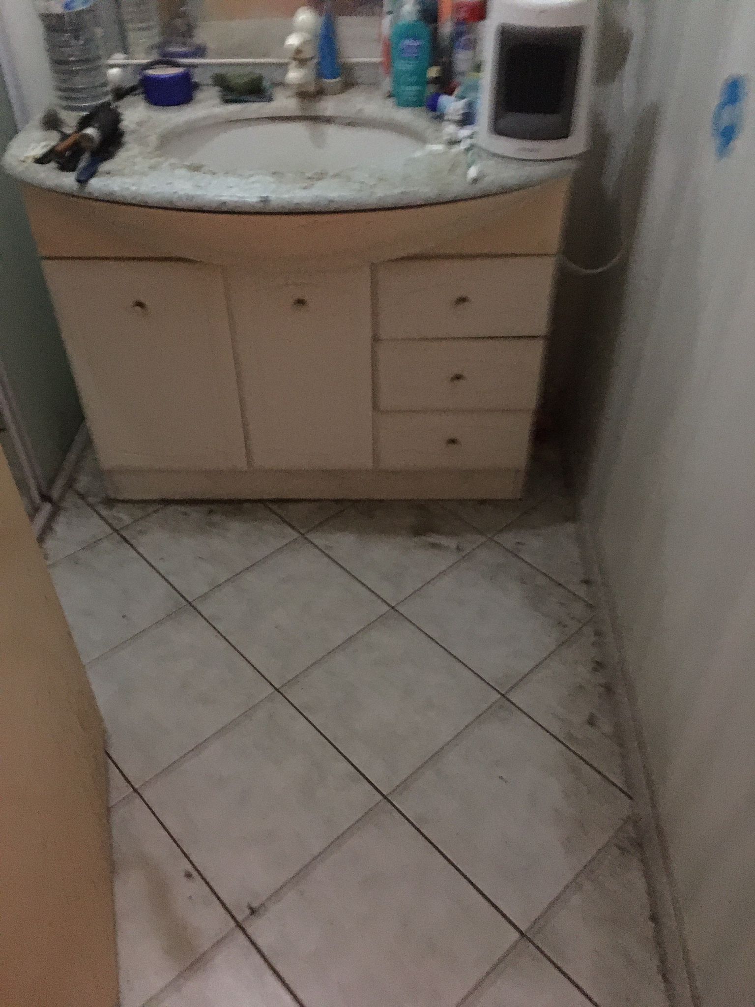 Nettoyage de logements post-mortem : Guide complet pour une intervention réussie IMG 20241130 WA0008